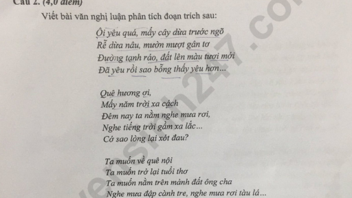 Đề thi môn Văn vào lớp 10 năm 2025 của Phú Thọ có gợi ý đáp án