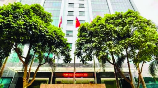 15 năm Dân Việt ra mắt độc giả: Hạt mầm vươn mình thành cây xanh vững chãi