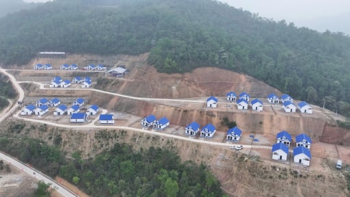 Nông dân Bảo Lạc của Cao Bằng nhiều nhà thoát nghèo nhờ trồng cây đặc hữu, đó là các cây gì?