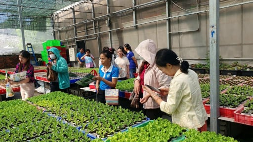 TP.HCM yêu cầu đẩy mạnh tuyên truyền trong công tác khuyến nông