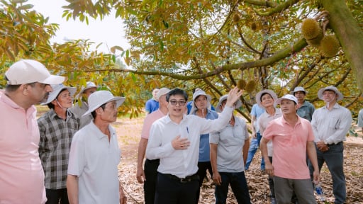Thúc đẩy canh tác bền vững, hỗ trợ nữ nhà nông phát triển sinh kế