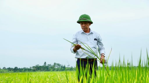 Nhiều xã ở tỉnh Hải Dương đã sáp nhập, tại sao các hợp tác xã dịch vụ nông nghiệp vẫn hoạt động như cũ?