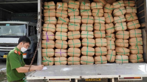 Tỉnh Long An mở 'chiến dịch' quyết xử lý một loại hàng hóa, ngay trước giờ sáp nhập với tỉnh Tây Ninh