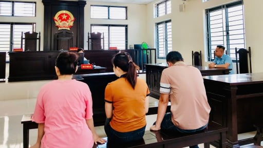 3 nhân viên doanh nghiệp kháng cáo vì bị kết tội sản xuất, buôn bán hàng giả