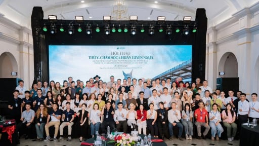 Hơn 100 chuyên gia hàng đầu dự Hội thảo ngành ngựa tại Học viện Cưỡi ngựa Vinpearl Vũ Yên