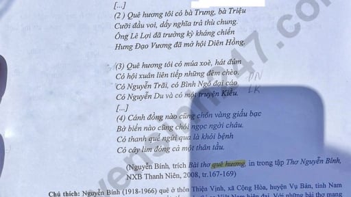 Đề thi môn Văn vào lớp 10 năm 2025 của Bình Định có gợi ý đáp án