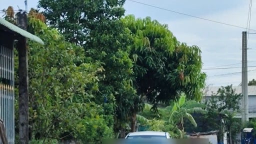 TIN NÓNG 24 GIỜ QUA: Khởi tố, bắt bị can sát hại anh vợ, cố thủ trong nhà; côn đồ xông vào nhà người khác sàm sỡ vợ, chém chồng trọng thương