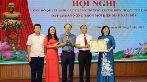  Trước khi sáp nhập với Hải Phòng và lên thành phố, huyện nào đang có nhiều xã nông thôn mới kiểu mẫu nhất tỉnh Hải Dương?