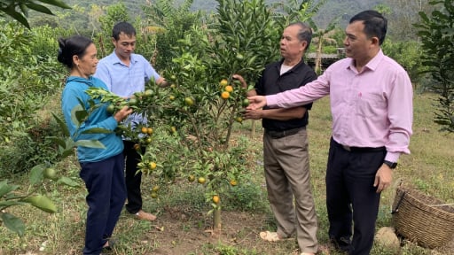Đưa Dân Việt đến gần hơn với nông dân Việt Nam
