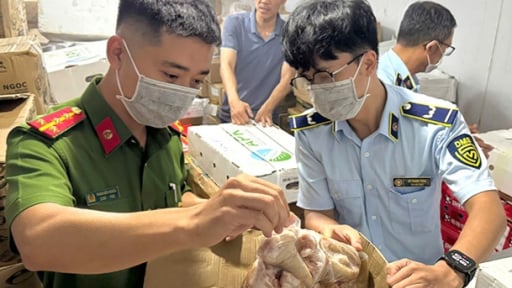 Quảng Bình: Phát hiện gần 4 tấn thực phẩm đông lạnh nhập lậu
