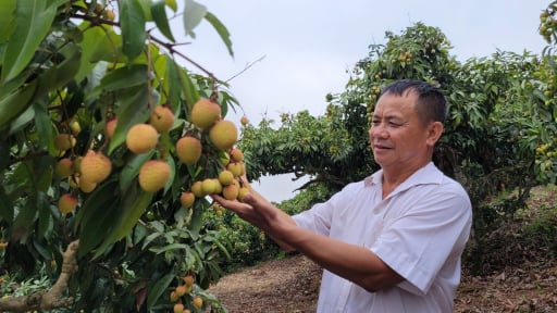 Những làng quê ở Bắc Giang, biến đặc sản địa phương thành sản phẩm du lịch, vào mùa khách kéo đến chơi
