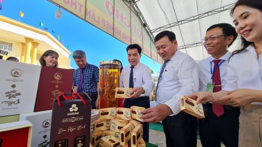 Hội Nông dân tỉnh Quảng Nam: Vững mạnh công tác Hội, bám sát cơ sở “ở đâu có nông dân, ở đó có tổ chức Hội”