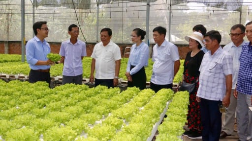 Kiện toàn tổ chức và hoạt động của Quỹ Hỗ trợ nông dân Trung ương: 2.000 tỷ đồng hỗ trợ xây dựng mô hình, tạo nguồn lực đoàn kết, tập hợp nông dân vào tổ chức Hội
