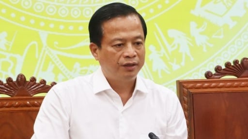 Phó Chủ tịch Bình Định: 'Khai thác khoáng sản vượt ranh giới cấp phép, chậm hoàn thổ, cần xử lý nghiêm'