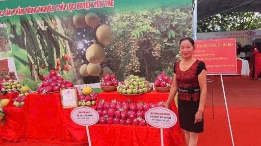 Sản phẩm OCOP 3 sao, vỏ hồng ruột đỏ mở hướng làm giàu bền vững cho nông dân Bắc Giang