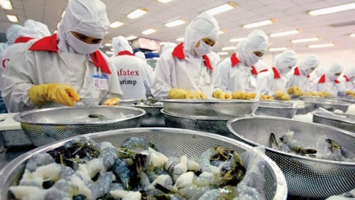 Áp thuế chống bán phá giá lên tôm Việt xuất khẩu vào Mỹ, có doanh nghiệp bị áp trên 35%: VASEP đề nghị xem lại các tính toán