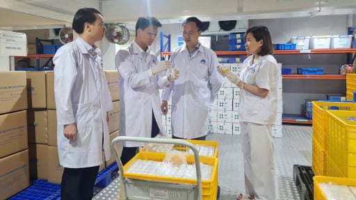 Một doanh nghiệp của Việt Nam chính thức xuất khẩu vaccine Dịch tả lợn châu Phi sang Indonesia