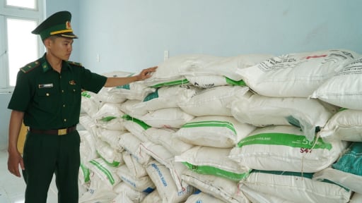 Trước giờ sáp nhập với tỉnh Long An, Chủ tịch UBND tỉnh Tây Ninh chỉ đạo ngăn chặn ngay việc buôn lậu, vận chuyển trái phép đường cát