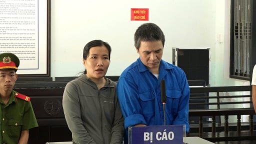 Cặp vợ chồng ở Huế lừa đảo chiếm đoạt gần 37 tỷ đồng 