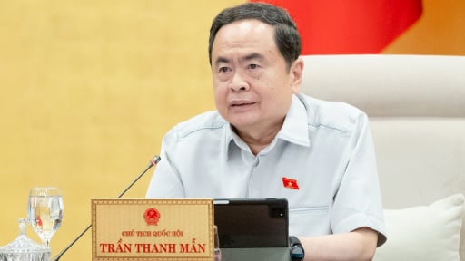 Chủ tịch Quốc hội: Phải giám sát, không để cấp tỉnh muốn làm gì thì làm mà Trung ương không biết trong điều chỉnh quy hoạch