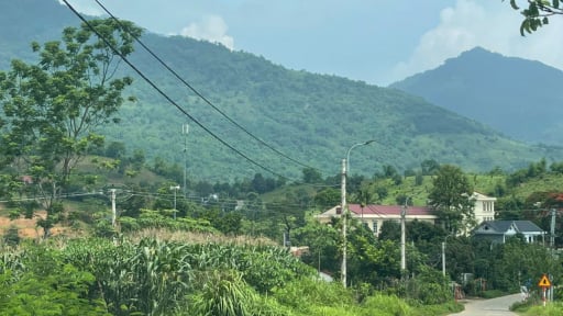 Đất rừng sản xuất: Người dân có được tự ý mở đường, xây nhà?