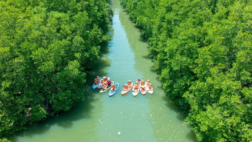 Một 'miền Tây thu nhỏ' giữa lòng Bình Định là cách làm giàu khác người của trai làng 9X gác bằng đại học bỏ về quê