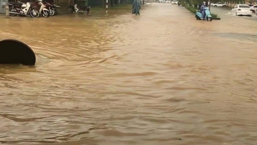 Khắp nơi ở Huế ngập lụt do mưa lớn, đường thành sông, đồng lúa chìm nghỉm