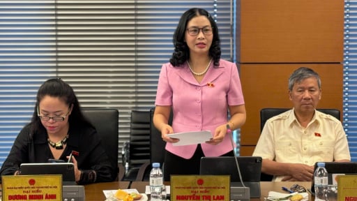 Giám đốc Học viện Nông nghiệp Việt Nam nói về sự cần thiết thành lập trung tâm tài chính quốc tế