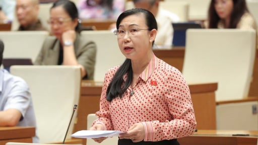 Đại biểu Quốc hội lo ngại tang vật, phương tiện tạm giữ quá lâu phải bán phế liệu gây lãng phí