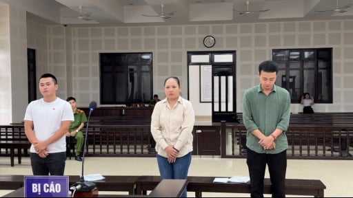 Cho người Trung Quốc đang bị truy nã thuê nhà, 3 bị cáo lãnh án