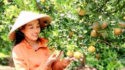 Lên video kể chuyện gì mà 2 loại quả ngon của nữ nông dân Bình Dương có mặt tại siêu thị, ship sang tận Hà Lan?