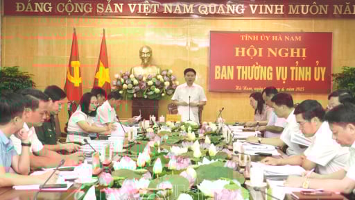 Trước ngày sáp nhập tỉnh Nam Định, Ninh Bình, ở Hà Nam, BTV Tỉnh ủy cho chủ trương về một số vấn đề quan trọng, trong đó có dự án một khu dân cư nông thôn