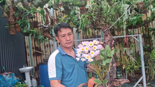 Trai Hải Phòng bỏ công nhân về làm nông dân công nghệ cao, trồng lan rừng quý, cả lạng phục lăn