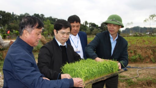 Kinh nghiệm thực hiện chương trình giảm nghèo ở Thanh Chương (Nghệ An): Hỗ trợ có điều kiện