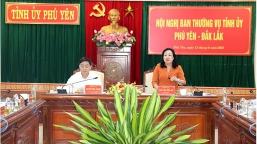Hỗ trợ các xã mới sau sáp nhập, hai tỉnh Đắk Lắk, Phú Yên đề xuất phương án gì mà nhiều người đồng tình?   