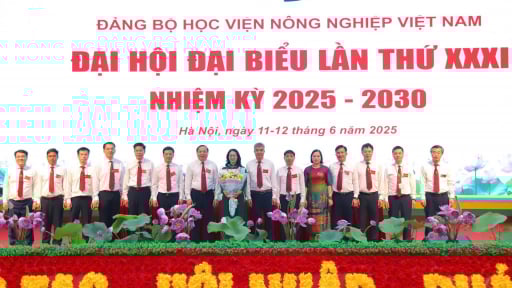 Đảng bộ Học viện Nông nghiệp Việt Nam tổ chức Đại hội lần thứ XXXI, nhiệm kỳ 2025 - 2030: Đưa ra nhiều chỉ tiêu quan trọng 