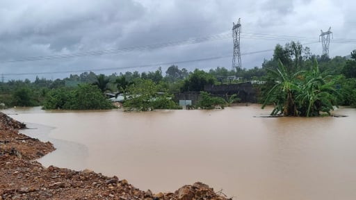 Nhiều khu vực tại Đà Nẵng còn chìm trong biển nước, hoa màu thiệt hại nặng nề
