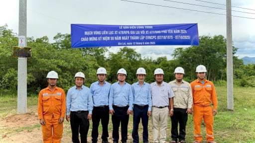 Gắn biển công trình chào mừng 50 năm thành lập Tổng Công ty Điện lực miền Trung