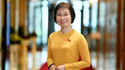 Bà Phạm Thị Thanh Mai được giới thiệu bầu làm Phó Chủ tịch HĐND TP Hà Nội