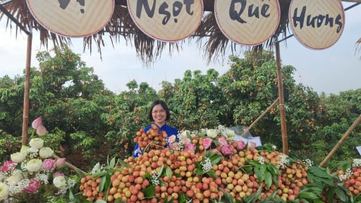 8 nông sản chủ lực làm giàu cho nông dân Hải Dương đang được xúc tiến xuất khẩu