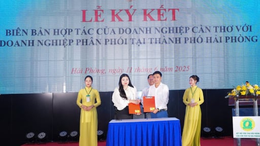 Hải Phòng - Cần Thơ, hai thành phố mới vừa chính thức được thông qua kết nối với nhau tiêu thụ thứ trái cây 'vua'
