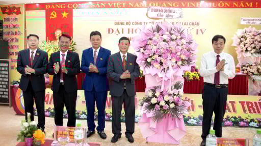 Cao su Lai Châu, Lai Châu II: Trên 1.000 tỷ doanh thu, hàng chục tỷ nộp ngân sách, nông dân góp đất hưởng lợi trăm tỷ
