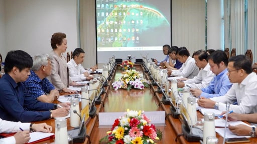 Bà Rịa - Vũng Tàu: Tập đoàn đã hợp tác với đối tác quốc tế đề xuất đầu tư nhiều dự án lớn