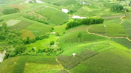 Phó Thủ tướng Trần Hồng Hà ký quyết định công nhận 4 huyện của tỉnh Đồng Nai, Thái Nguyên, Đồng Tháp về đích nông thôn mới