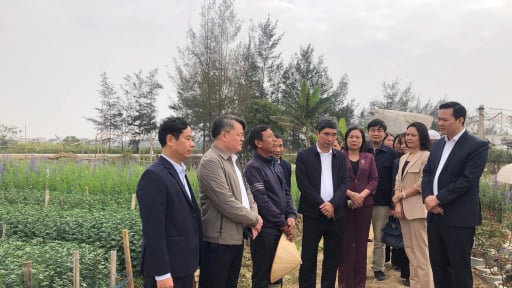 Nông dân Hải Dương thi đua sản xuất, kinh doanh giỏi tạo đòn bẩy lan tỏa cách làm giàu