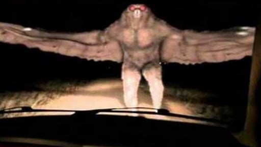 Bí ẩn quái vật Mothman: Truyền thuyết đô thị hay sinh vật chưa được khám phá?