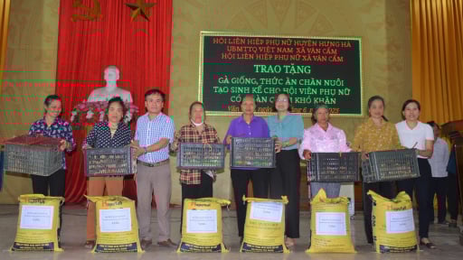 Thái Bình: 240 con gà giống được trao tặng cho phụ nữ khó khăn giúp tạo sinh kế, vươn lên thoát nghèo