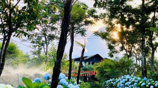 'Cổng trời' giữa đại ngàn cảnh đẹp như phim ở Gia Lai, có 5 bạn trẻ bỏ phố lên rừng, trồng cả một vườn dược liệu quý