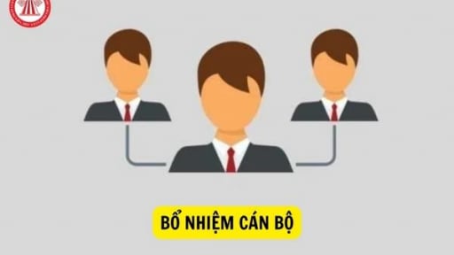 Chủ tịch UBND xã có thẩm quyền bổ nhiệm, miễn nhiệm, tạm đình chỉ, cách chức với những chức vụ nào theo quy định mới?