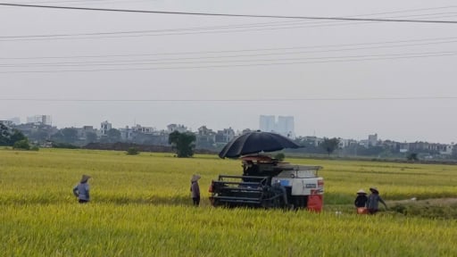 Kiến Xương (Thái Bình): Giảm nghèo bằng những giải pháp đồng bộ và bền vững